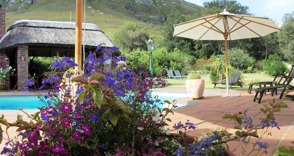 Von Abercron Residence Hermanus Δωμάτιο φωτογραφία